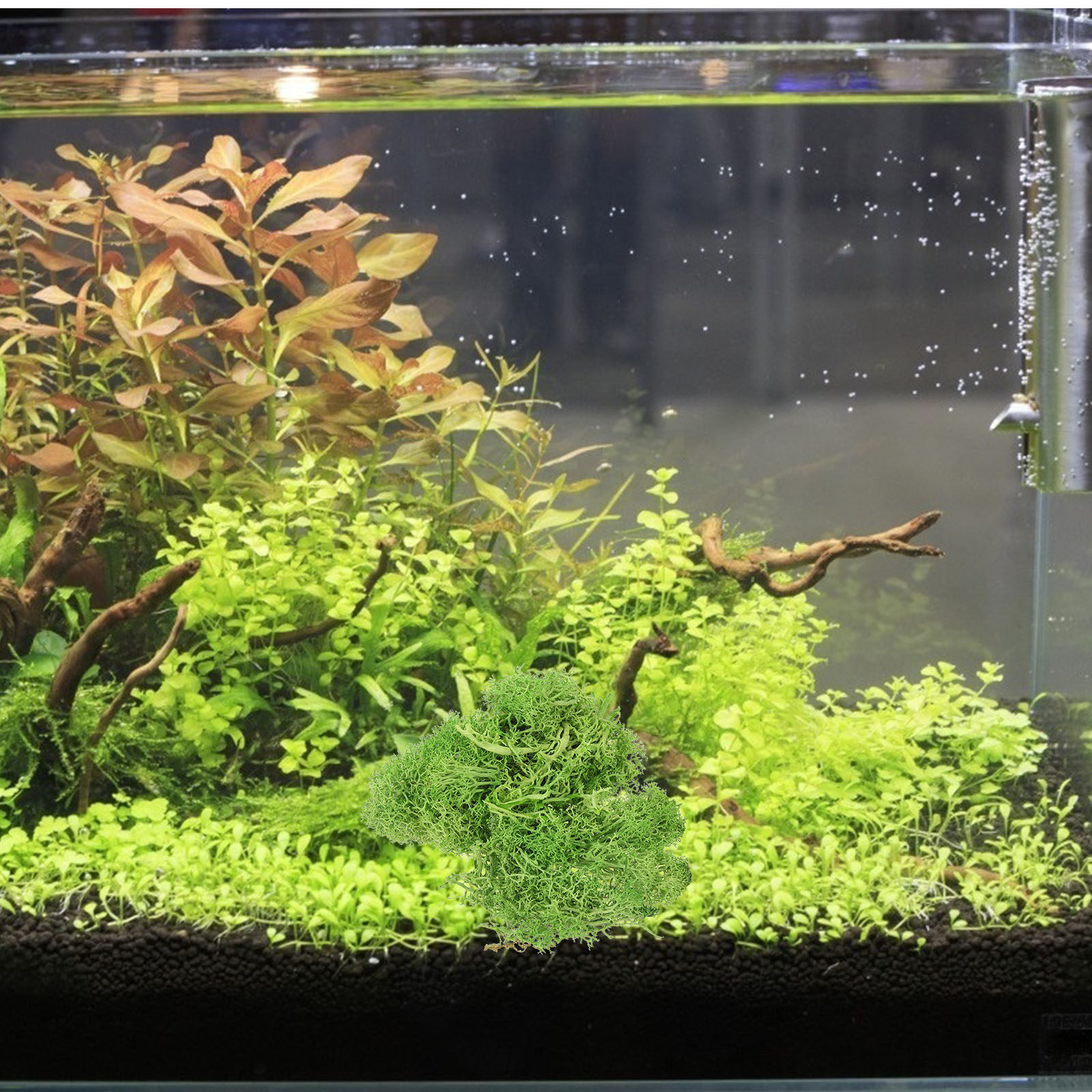 Sphagnum Moss Dry - Kahverengi Sphagnum Peyzaj Yapay Yosun Dış