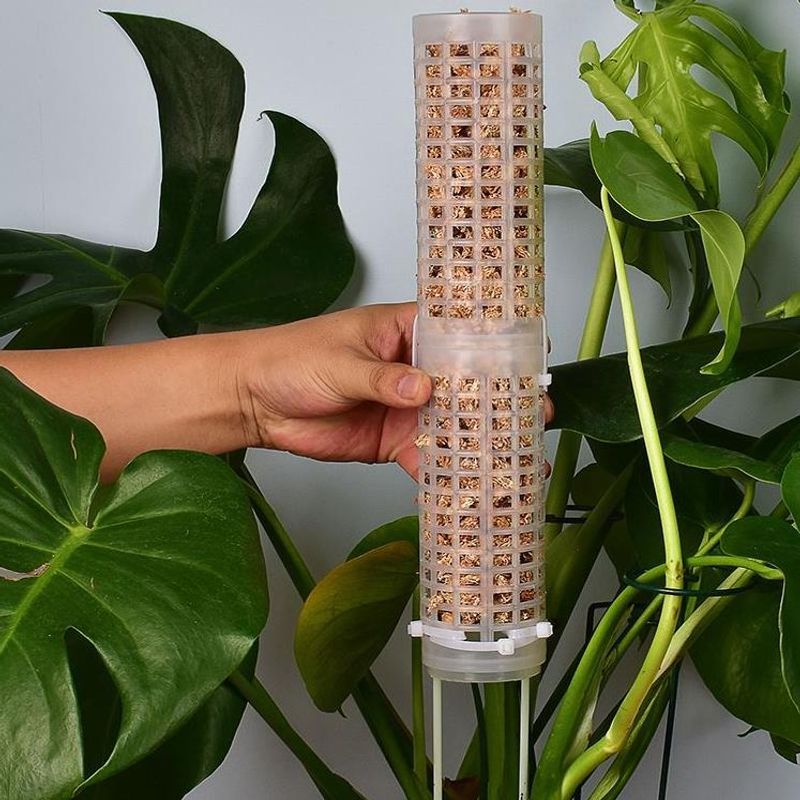 Sphagnum Moss Dry - Aksesuar Plastikler Yosun Çubuğu İstiflenebilir Totem