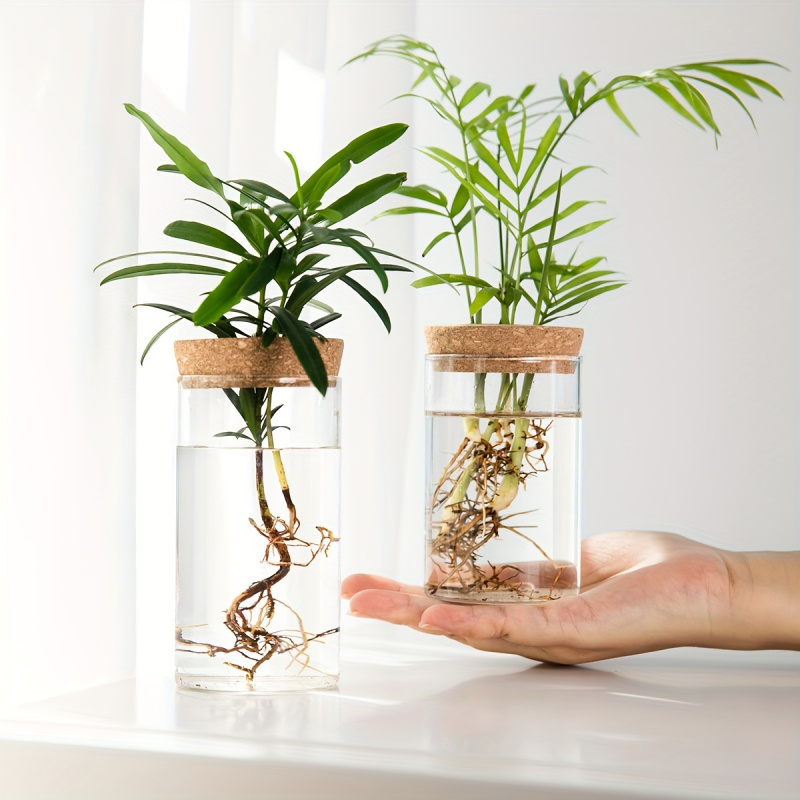 Propagation Station Vase - 1 adet, ev dekorasyon için hidroponik