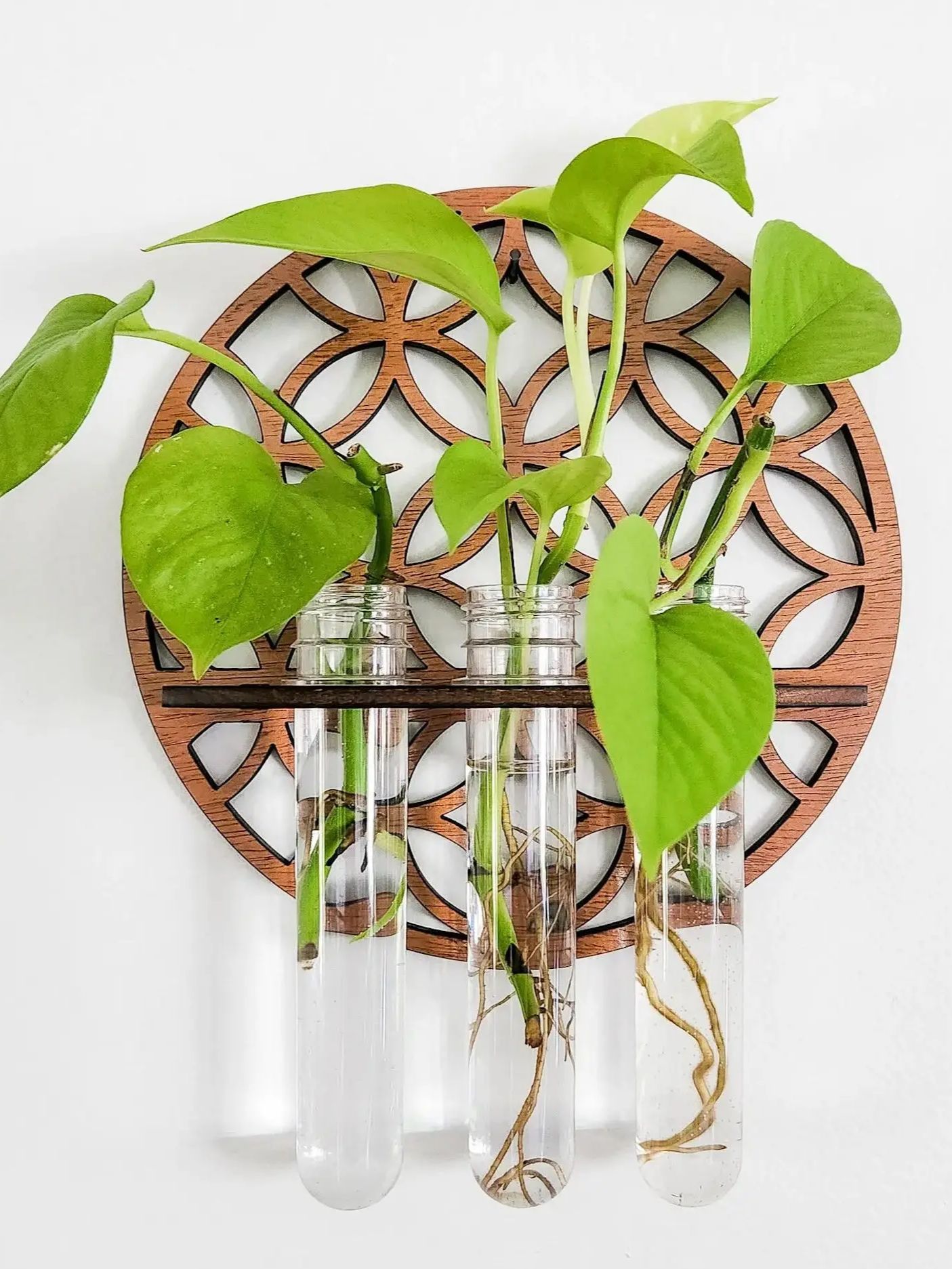 Propagation Station Vase - Bahçe Duvarı Yetiştiricilerinin Kapalı Ahşap Daire