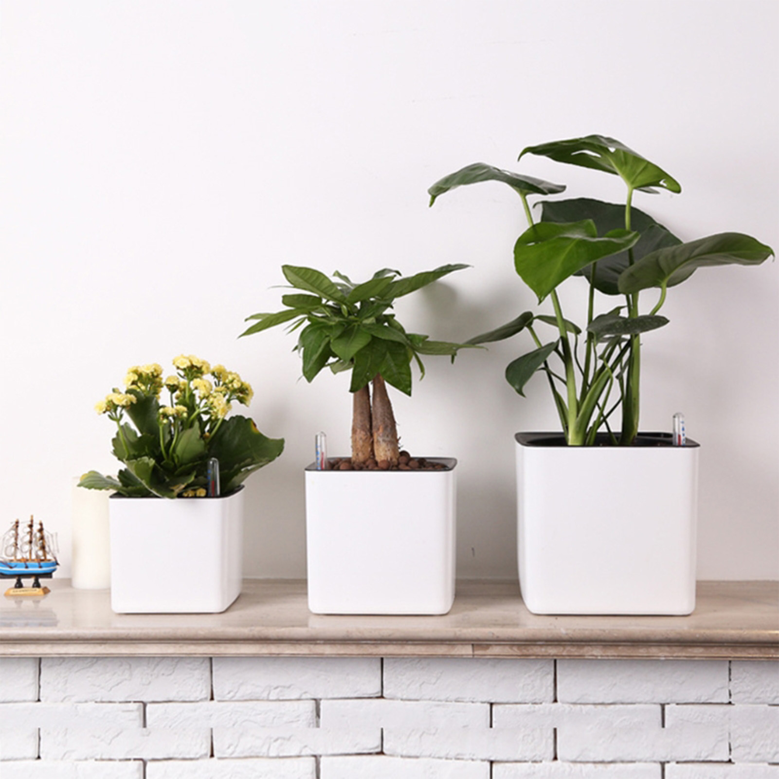 Self Watering Insert - 3 boyutu Tembel saksı Yeşil Bitki