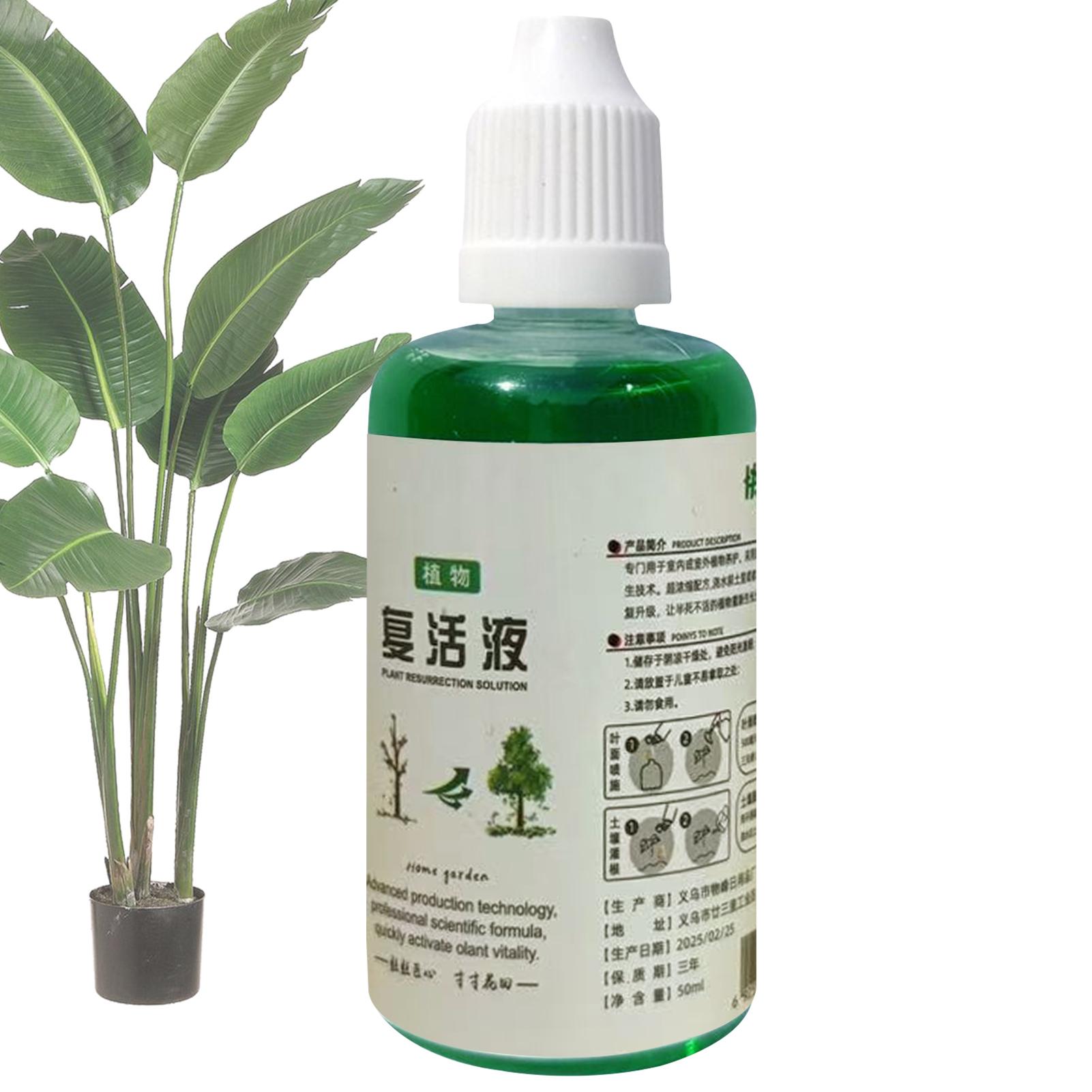 Root Stimulator Liquid - Kök Stimülatörü Bitki Canlandırma Sıvısı Sebze