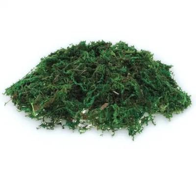 Sphagnum Moss Dry - 1 paket doğal görünümlü sahte yosun