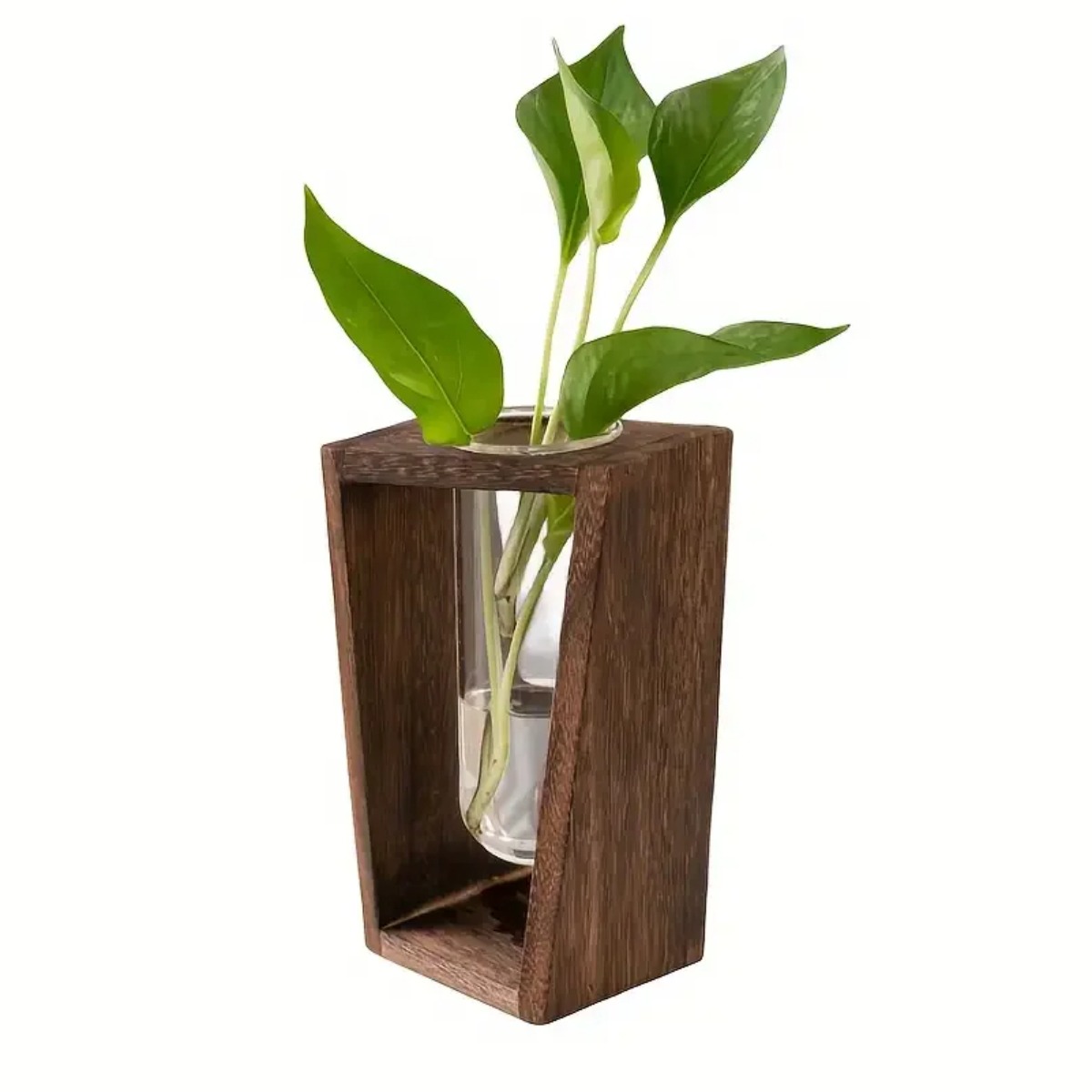Propagation Station Vase - Bitki Çoğaltma İstasyonu Hidroponik Vazo Ahşap