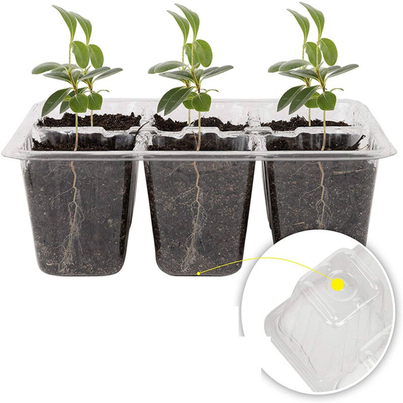 Humidity Dome Kit - 12 Bölmeli Çimlendirme Tepsisi Yüksek Şeffaflıkta