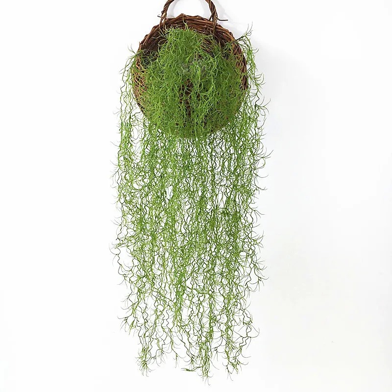 Sphagnum Moss Dry - 1/3/5 adet Hava Bitkisi Yeşil Bitkiler