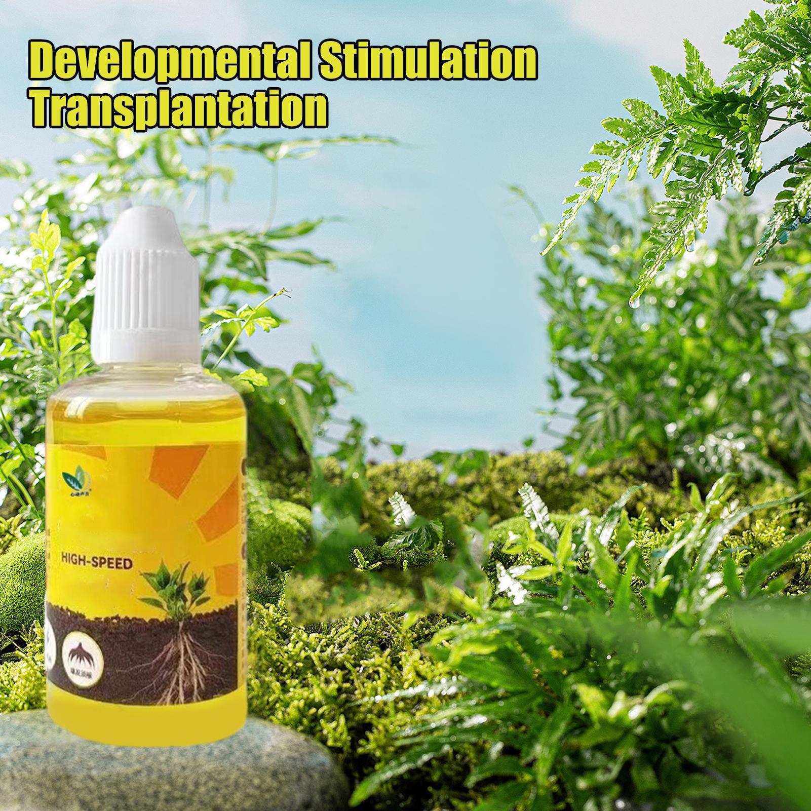 Root Stimulator Liquid - Bitki Diriliş Sıvısı 50ml Çiçek Meyve