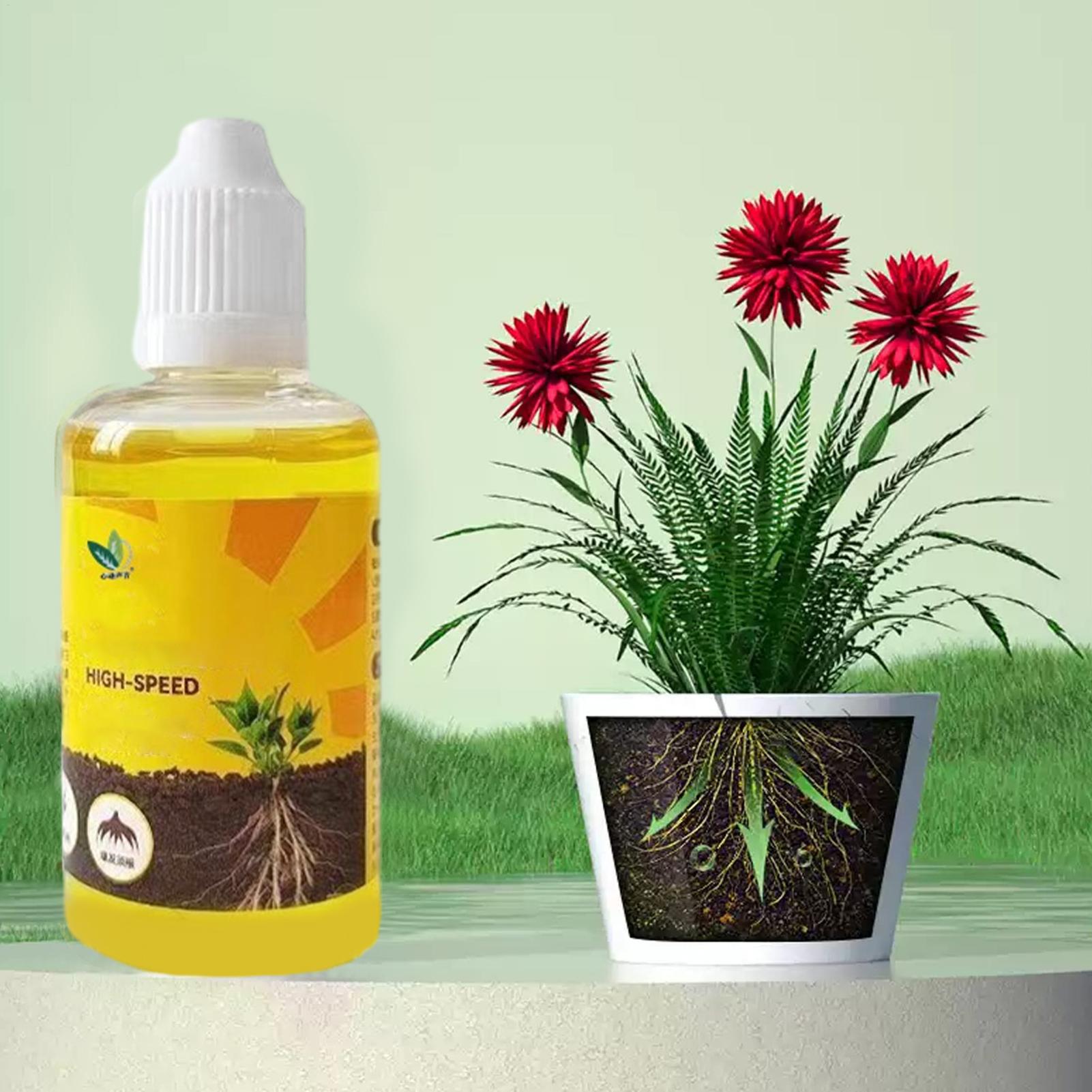 Root Stimulator Liquid - Bitki Hızlı Köklenme Çözümü 50ml Besin