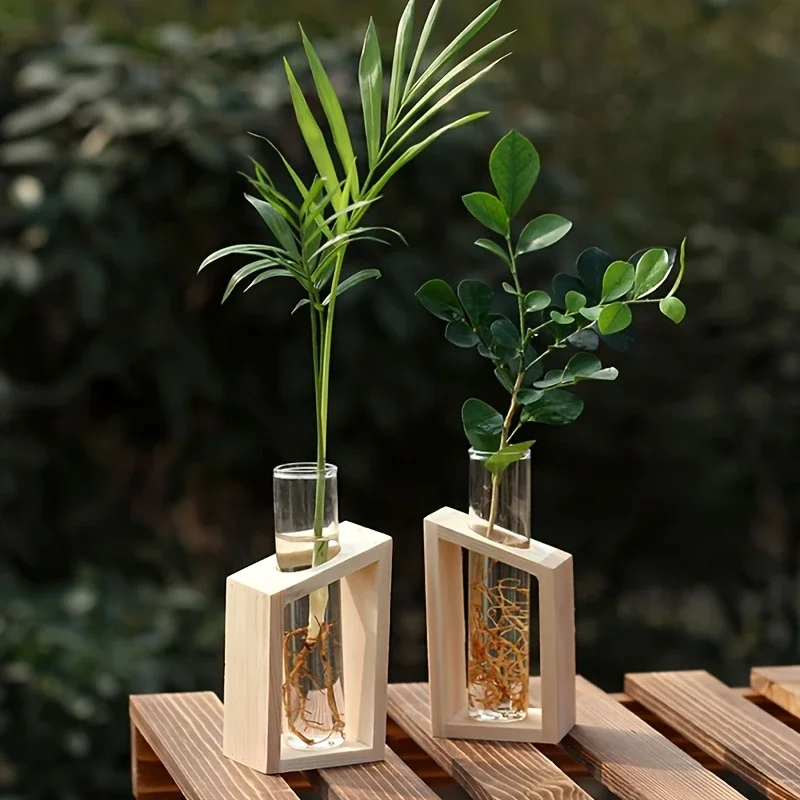 Propagation Station Vase - Test Tüpü Cam Vazo Bitki Çoğaltma