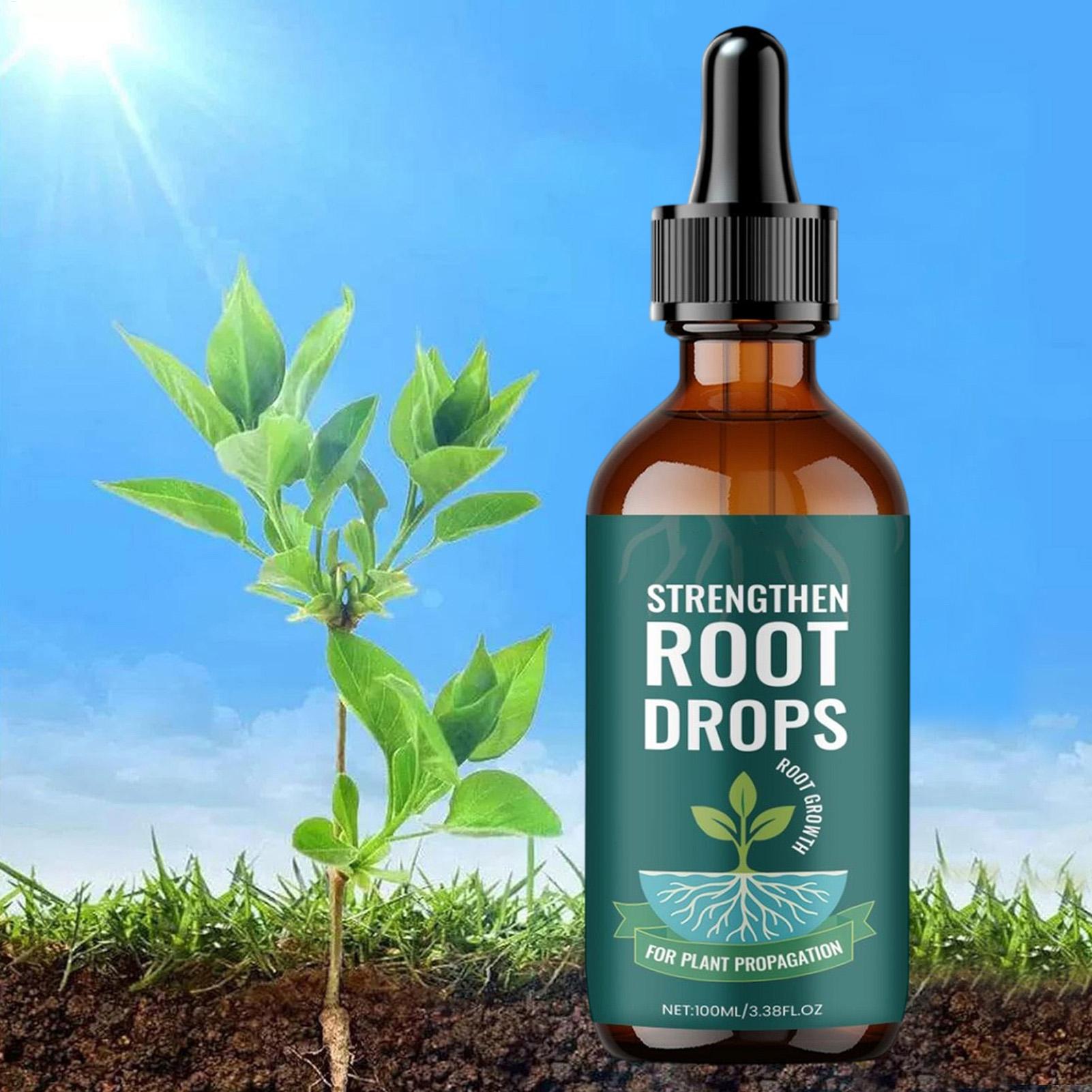 Root Stimulator Liquid - 100ml Bitki Köklendirme Sıvı Damlaları Kök