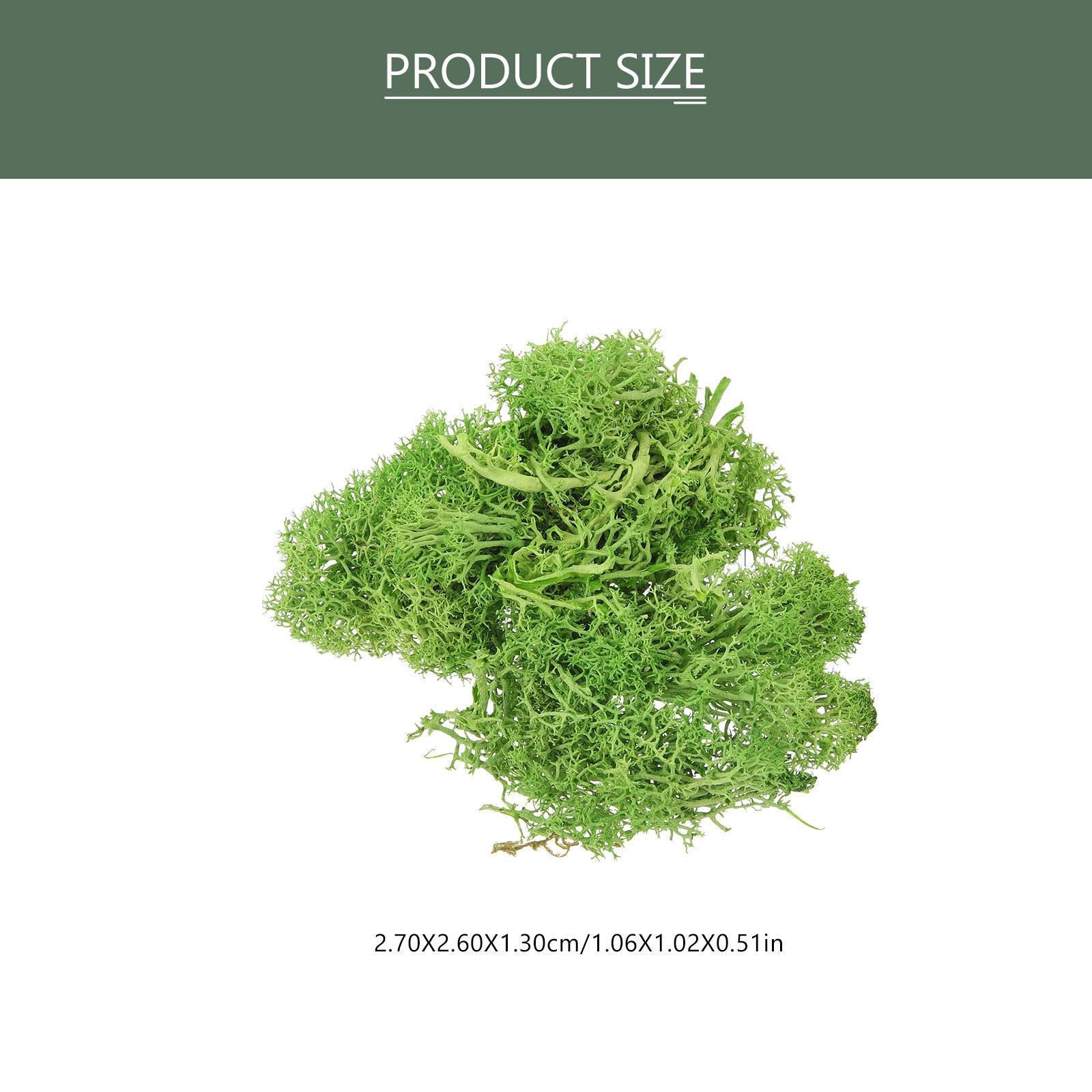 Kahverengi Sphagnum Peyzaj Yap - Sphagnum Moss Dry incelemesi ve fiyatı