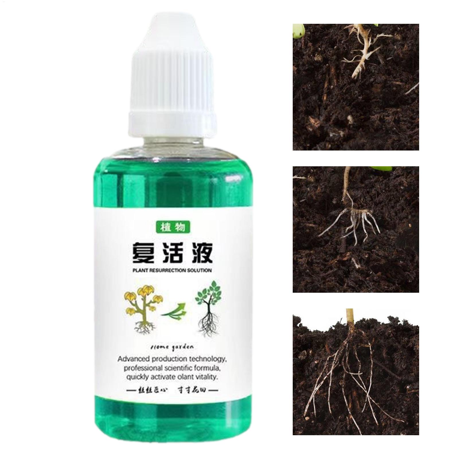 50ml Kök Stimülatörü Bitki Can - Root Stimulator Liquid incelemesi ve fiyatı