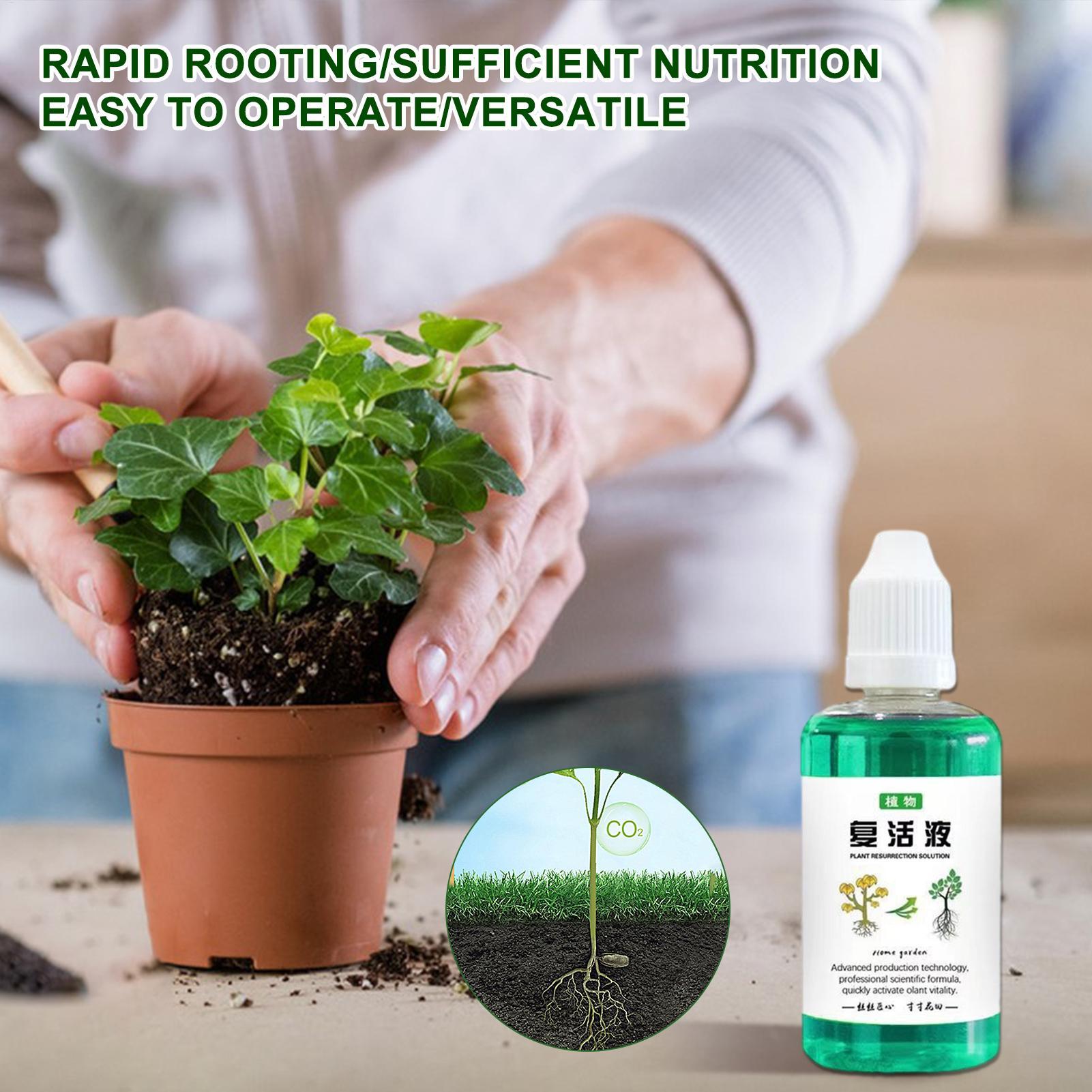 50ml Kök Stimülatörü Bitki Can - Root Stimulator Liquid incelemesi ve fiyatı