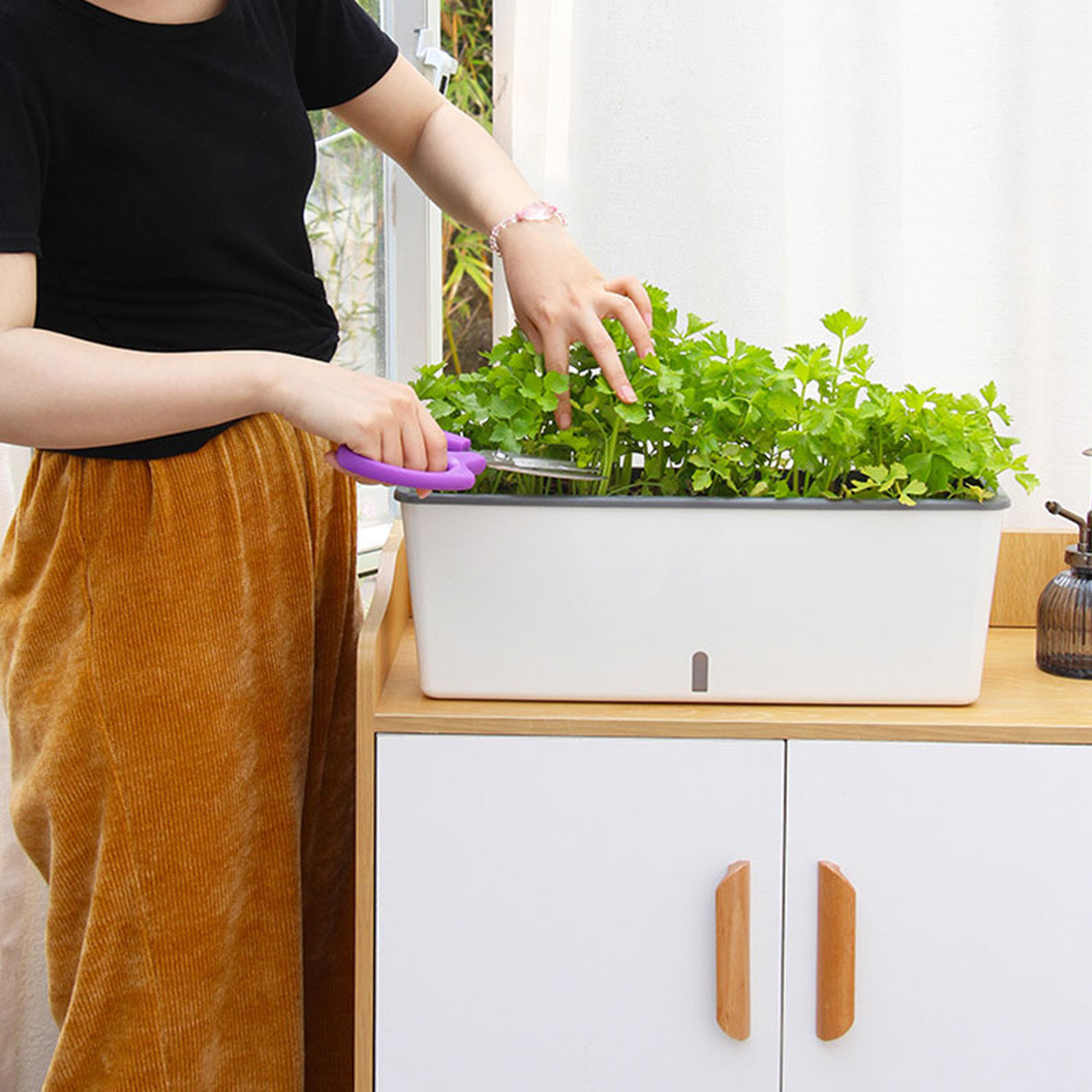 Arkadaşlar Aileler Komşular iç - Self Watering Insert incelemesi ve fiyatı