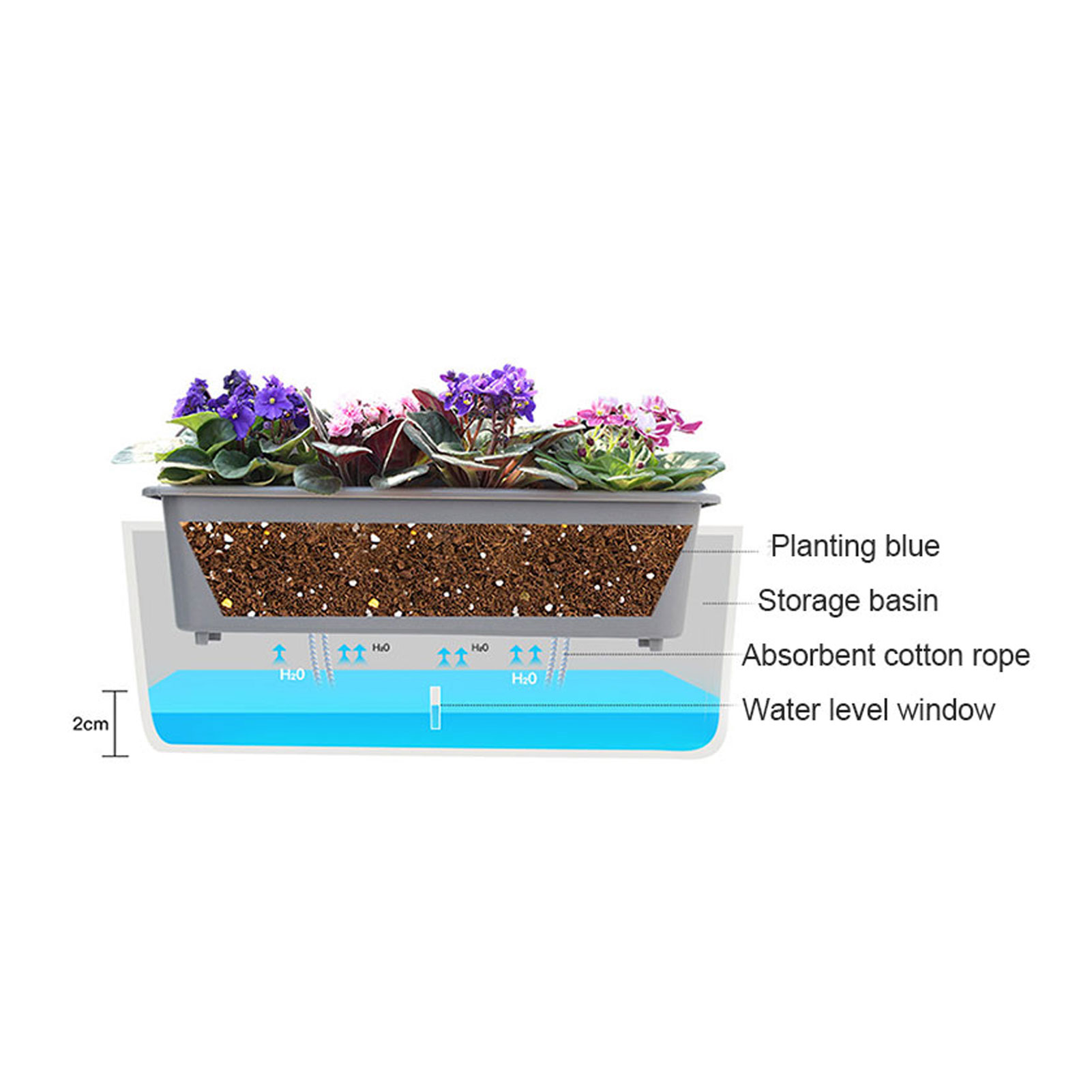 Arkadaşlar Aileler Komşular iç - Self Watering Insert incelemesi ve fiyatı