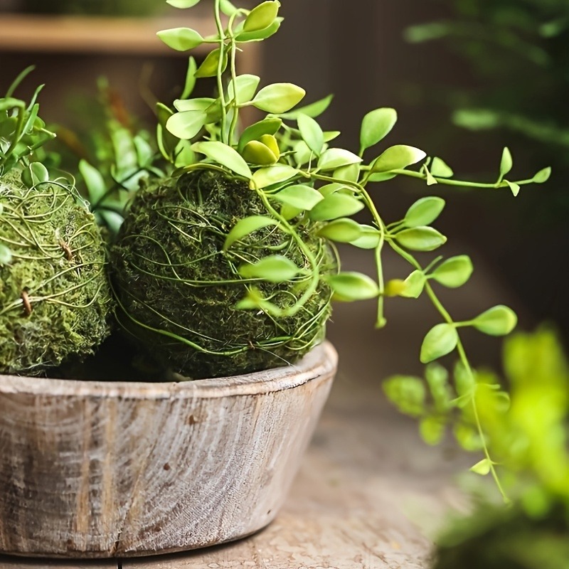 Yapay Yosun Topu Saksısı, Doğa - Sphagnum Moss Dry incelemesi ve fiyatı