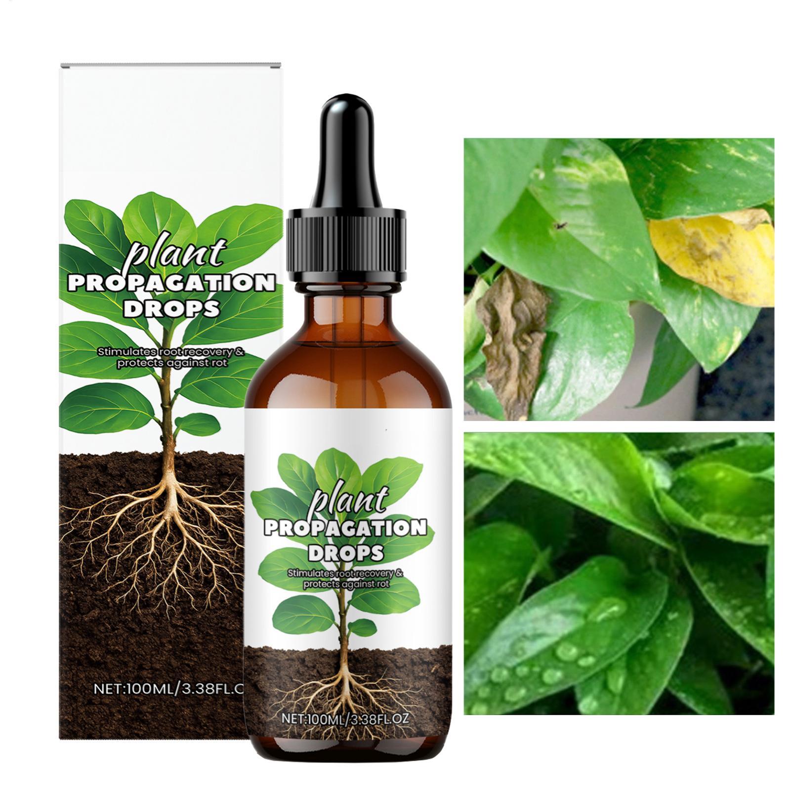 Sağlıklı Bitkiler İçin Kök Güç - Root Stimulator Liquid incelemesi ve fiyatı