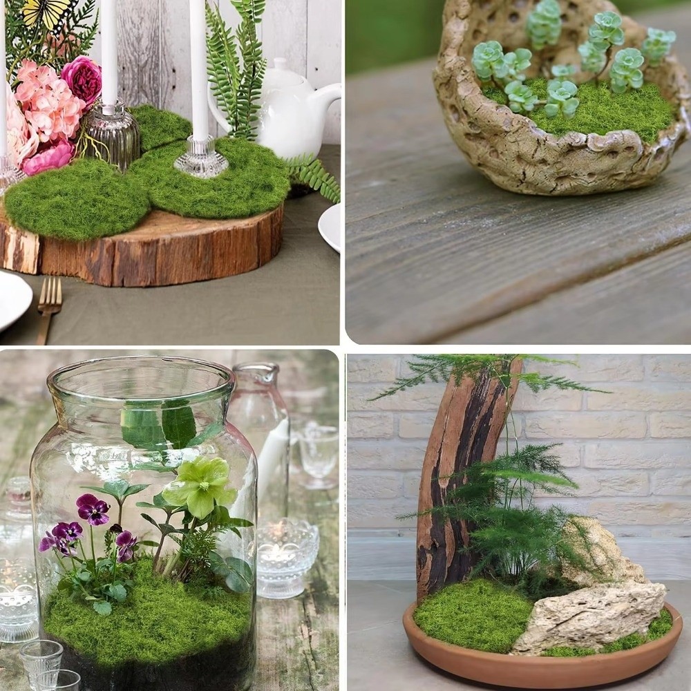 Kendin Yap Yapay Çim Halı Daya - Sphagnum Moss Dry incelemesi ve fiyatı