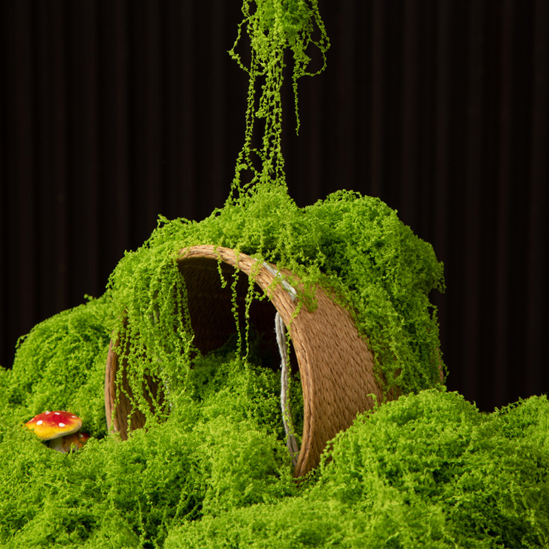 200g Ebedi Yaşam Yosun DIY El  - Sphagnum Moss Dry incelemesi ve fiyatı