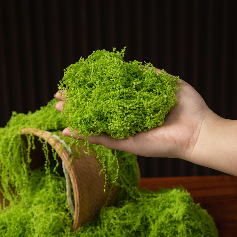 200g Ebedi Yaşam Yosun DIY El  - Sphagnum Moss Dry incelemesi ve fiyatı