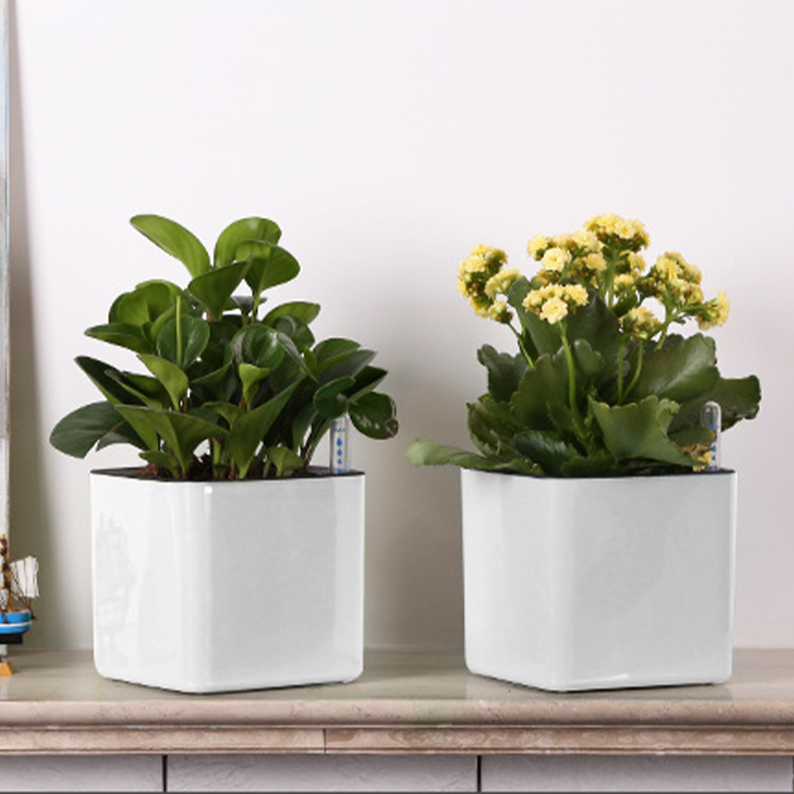 3 boyutu Tembel saksı Yeşil Bi - Self Watering Insert incelemesi ve fiyatı