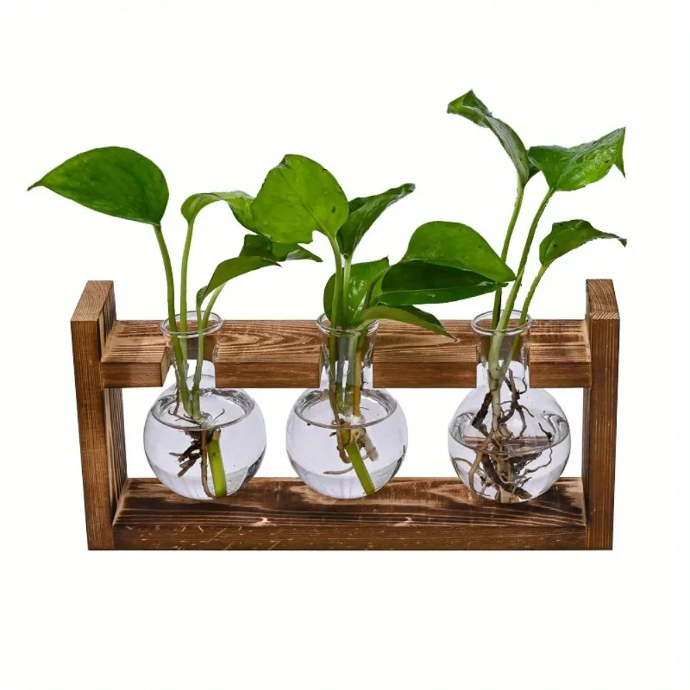 Masa üstü cam ekici yayılım is - Propagation Station Vase incelemesi ve fiyatı