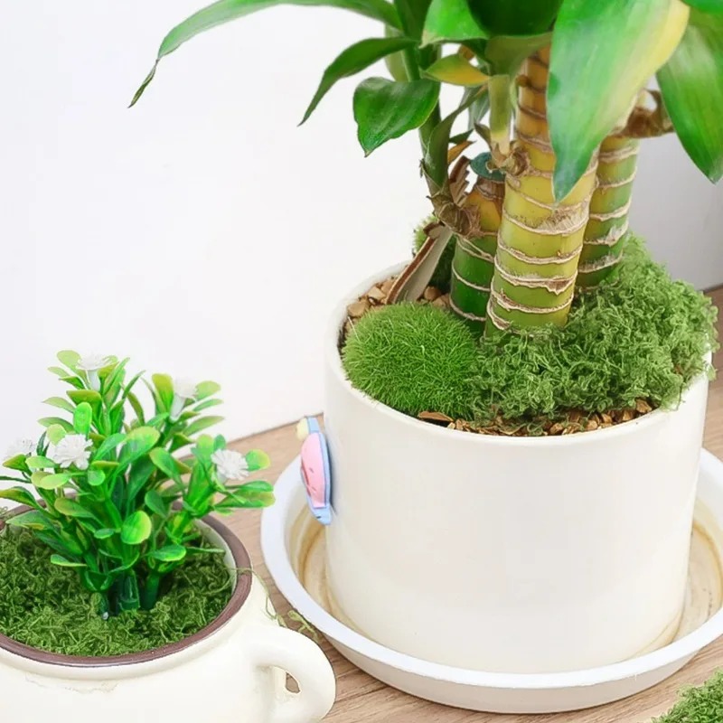 30/300G Yapay Gerçekçi Yosun P - Sphagnum Moss Dry incelemesi ve fiyatı