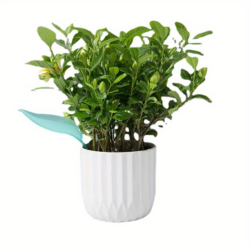 Yaratıcı Saksı Bitkileri Sulam - Self Watering Insert incelemesi ve fiyatı