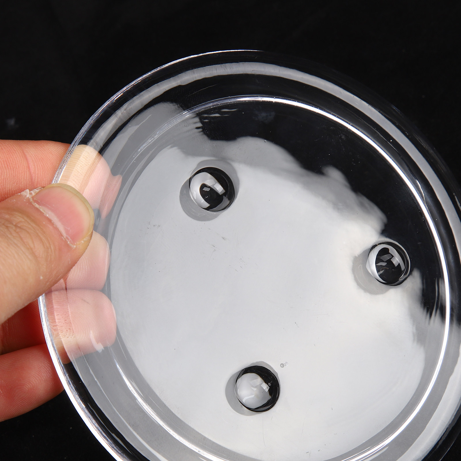Korunmuş Çiçekler için Angel C - Plastic Dome Clear incelemesi ve fiyatı