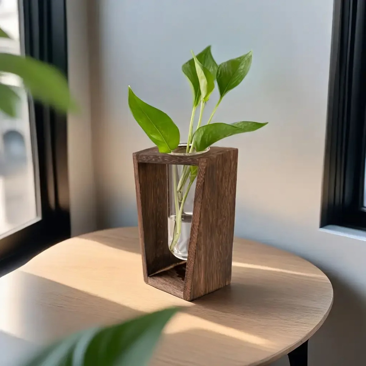 Bitki Çoğaltma İstasyonu Hidro - Propagation Station Vase incelemesi ve fiyatı