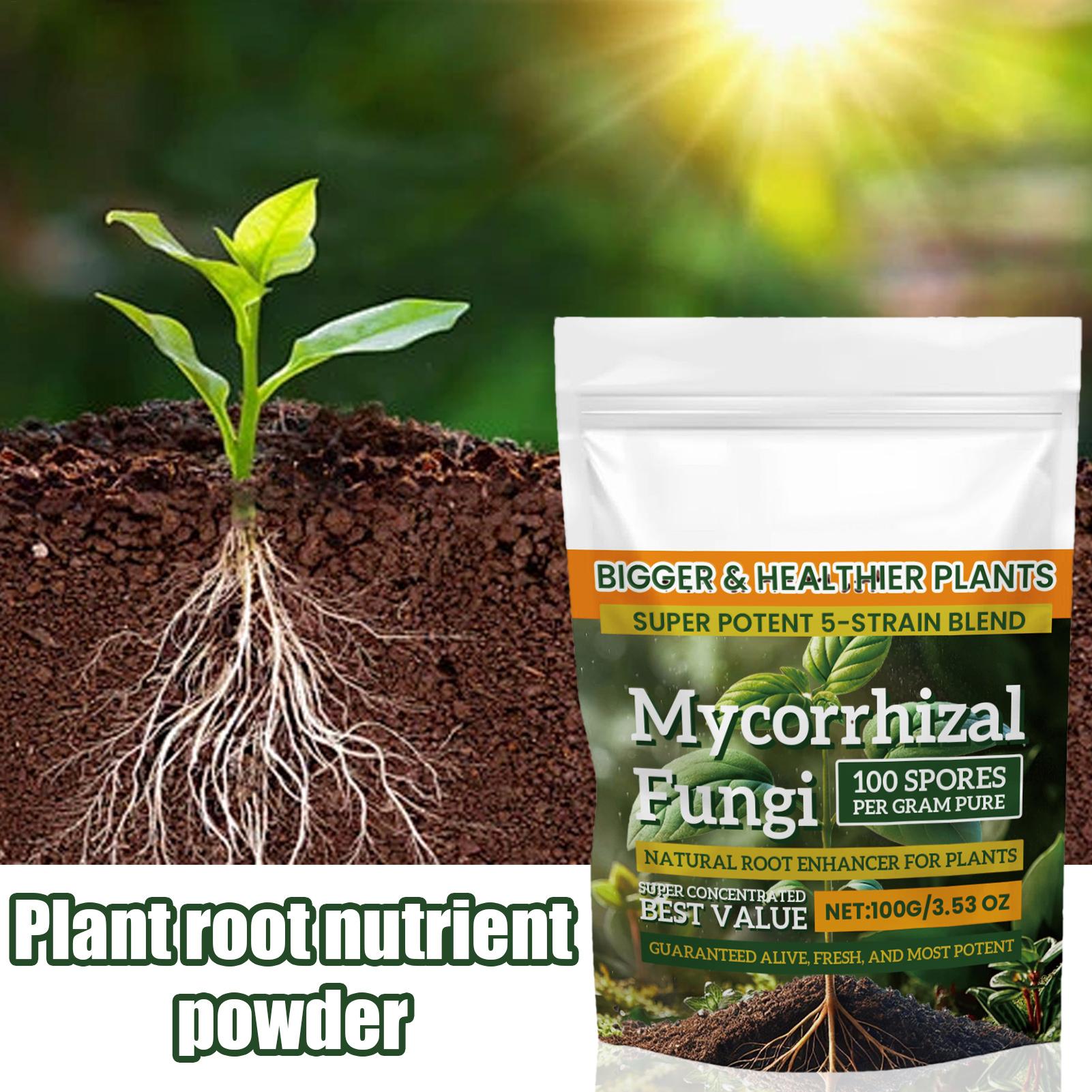 Yeni Bitki Besin Tozu 100g Bit - Rooting Hormone Powder incelemesi ve fiyatı