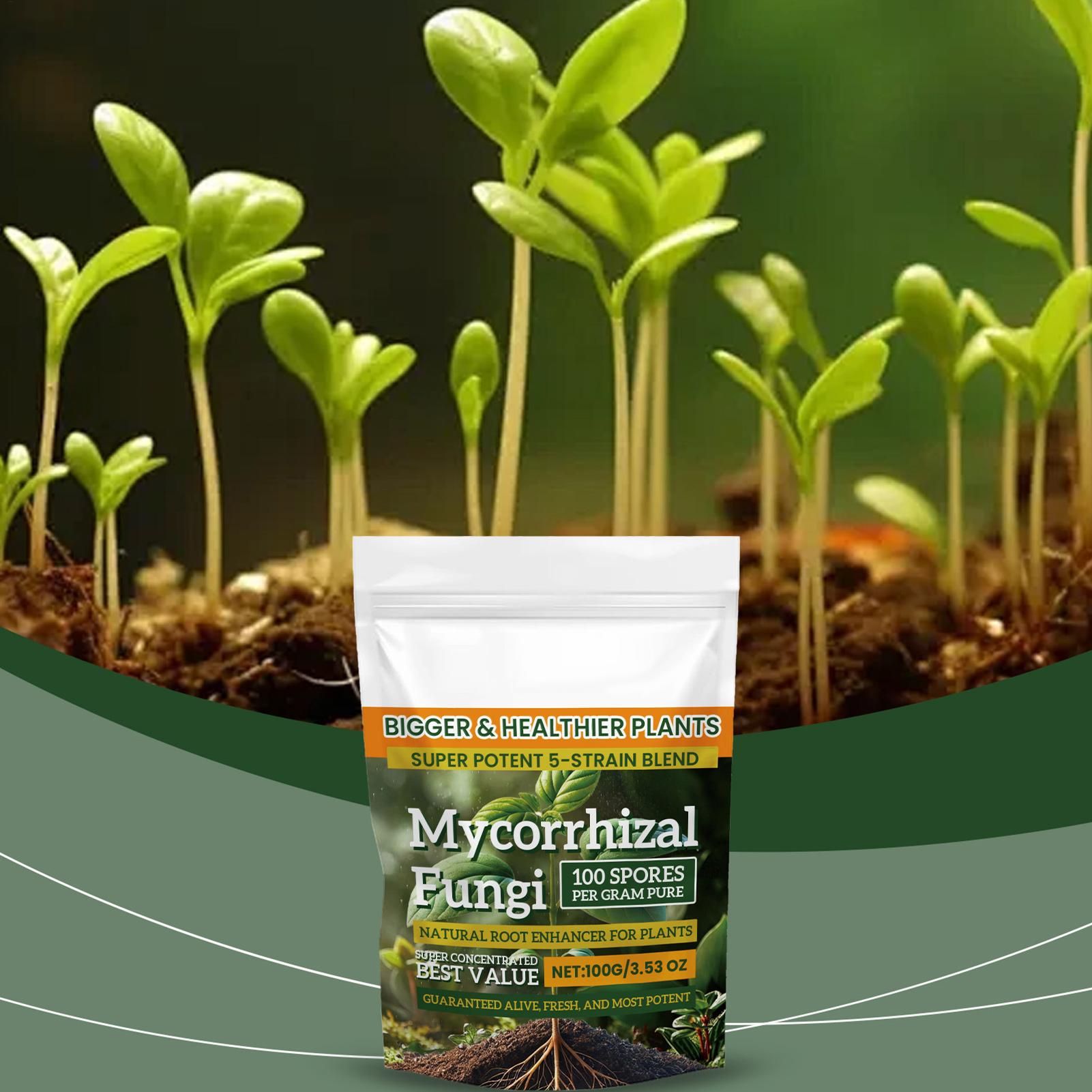 Yeni Bitki Besin Tozu 100g Bit - Rooting Hormone Powder incelemesi ve fiyatı