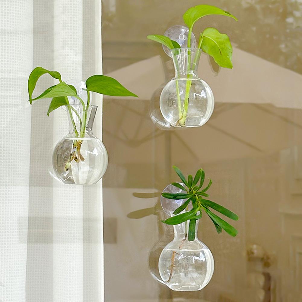 Pencere saksısı vazo pencere b - Propagation Station Vase incelemesi ve fiyatı