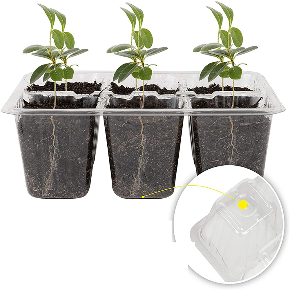 Büyümek ışık ile tohum başlang - Humidity Dome Kit incelemesi ve fiyatı