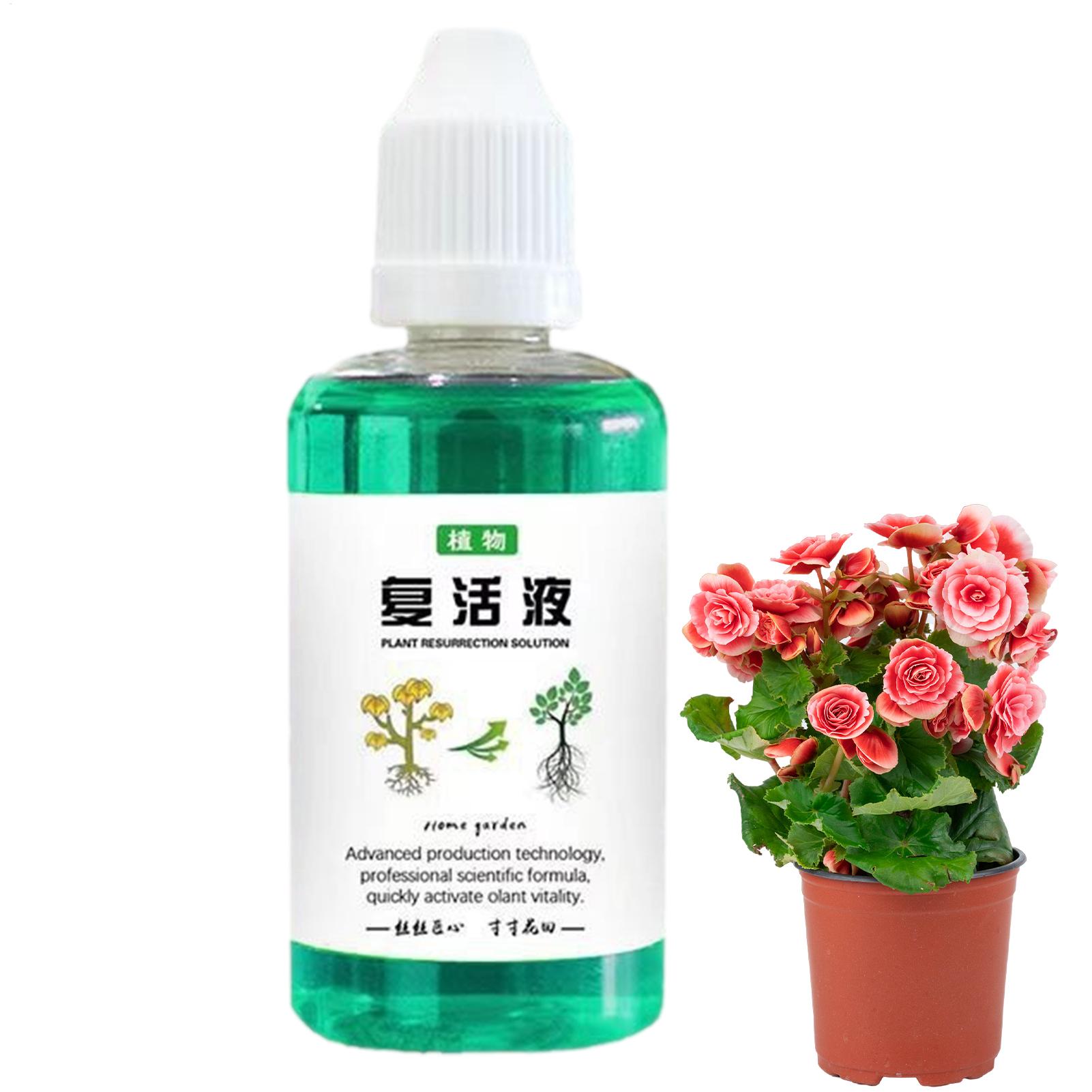 Bitkiler İçin Kök Stimülatörü  - Root Stimulator Liquid incelemesi ve fiyatı