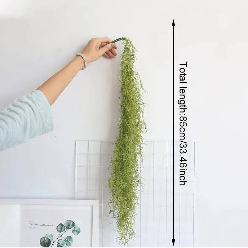 1/3/5 adet Hava Bitkisi Yeşil  - Sphagnum Moss Dry incelemesi ve fiyatı