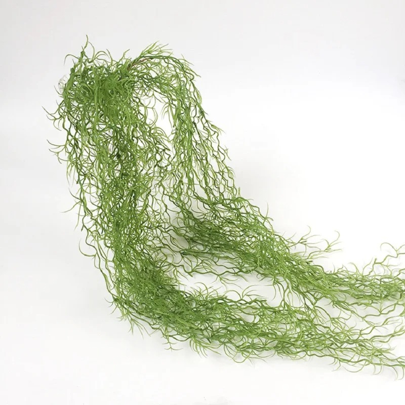 1/3/5 adet Hava Bitkisi Yeşil  - Sphagnum Moss Dry incelemesi ve fiyatı