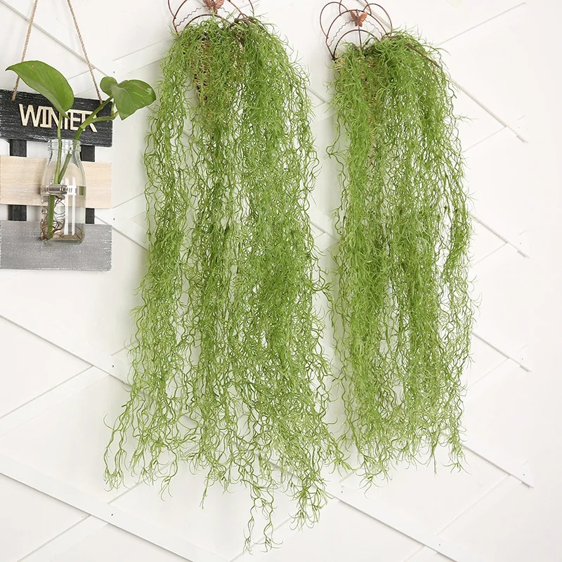1/3/5 adet Hava Bitkisi Yeşil  - Sphagnum Moss Dry incelemesi ve fiyatı