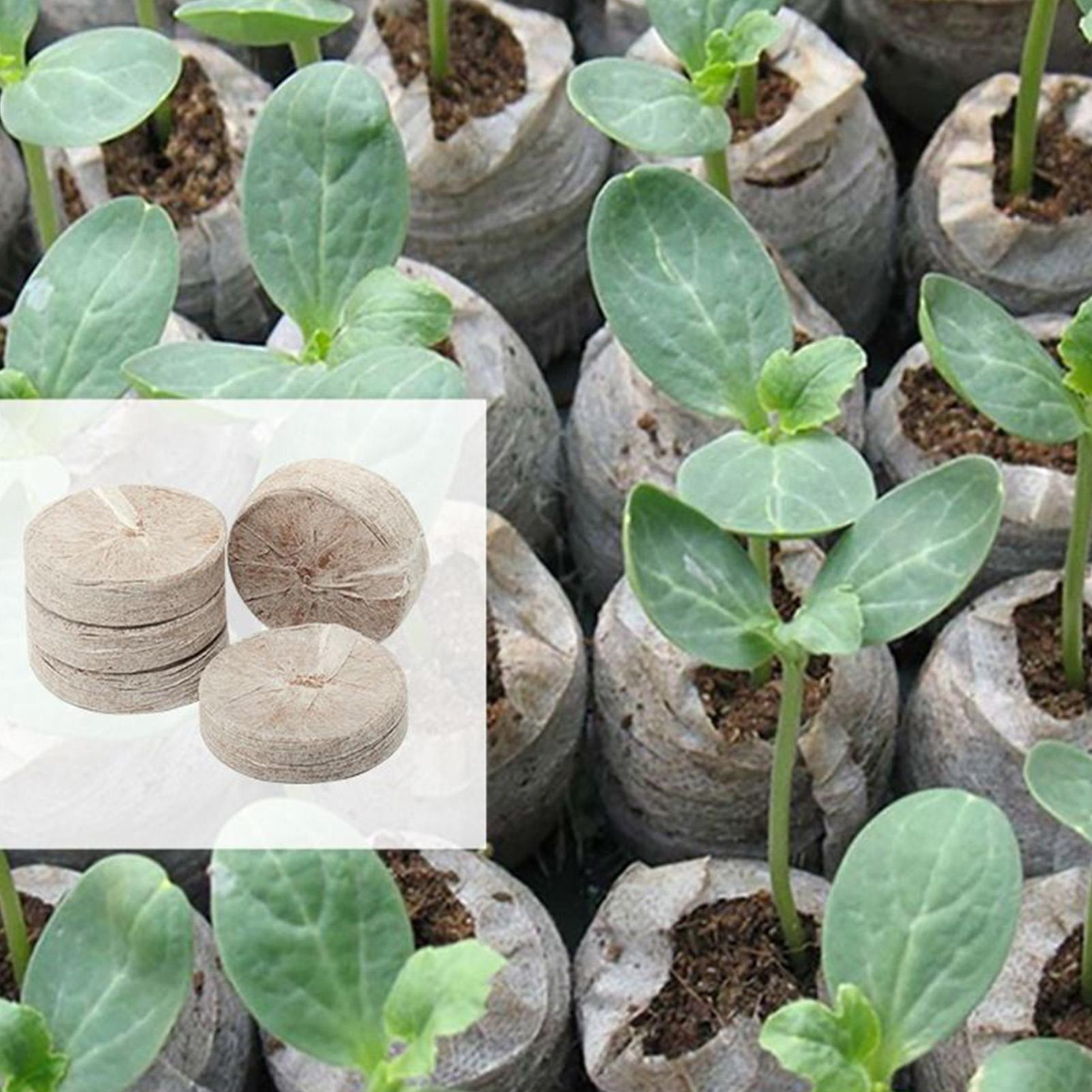 100 Adet Saksı Karışım Tepsisi - Peat Pellet Tray incelemesi ve fiyatı