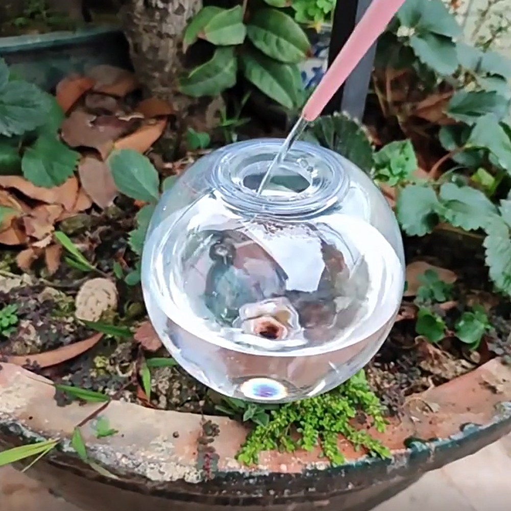 500ML Kendiliğinden Sulanan Kü - Self Watering Insert incelemesi ve fiyatı