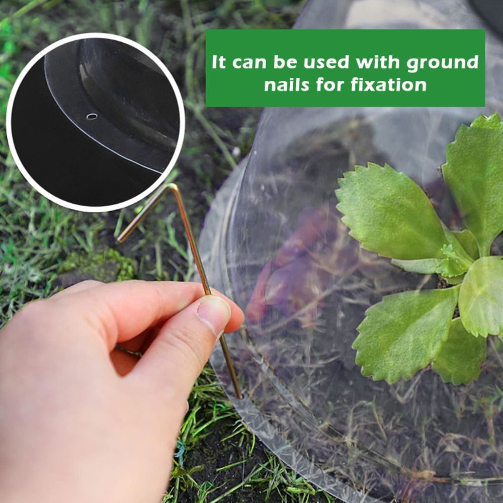 Yeniden Kullanılabilir Şeffaf  - Plastic Dome Clear incelemesi ve fiyatı