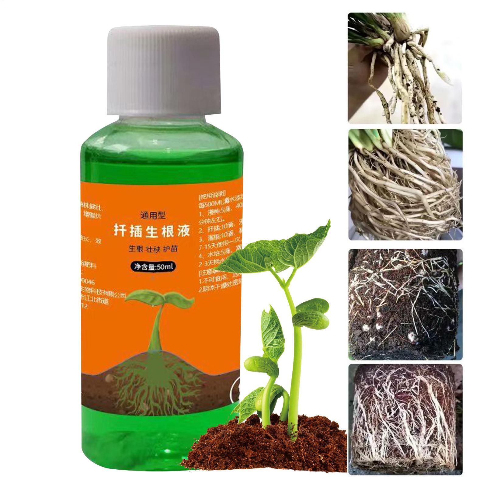 Bitki Kesimleri için Yüksek Ve - Root Stimulator Liquid incelemesi ve fiyatı