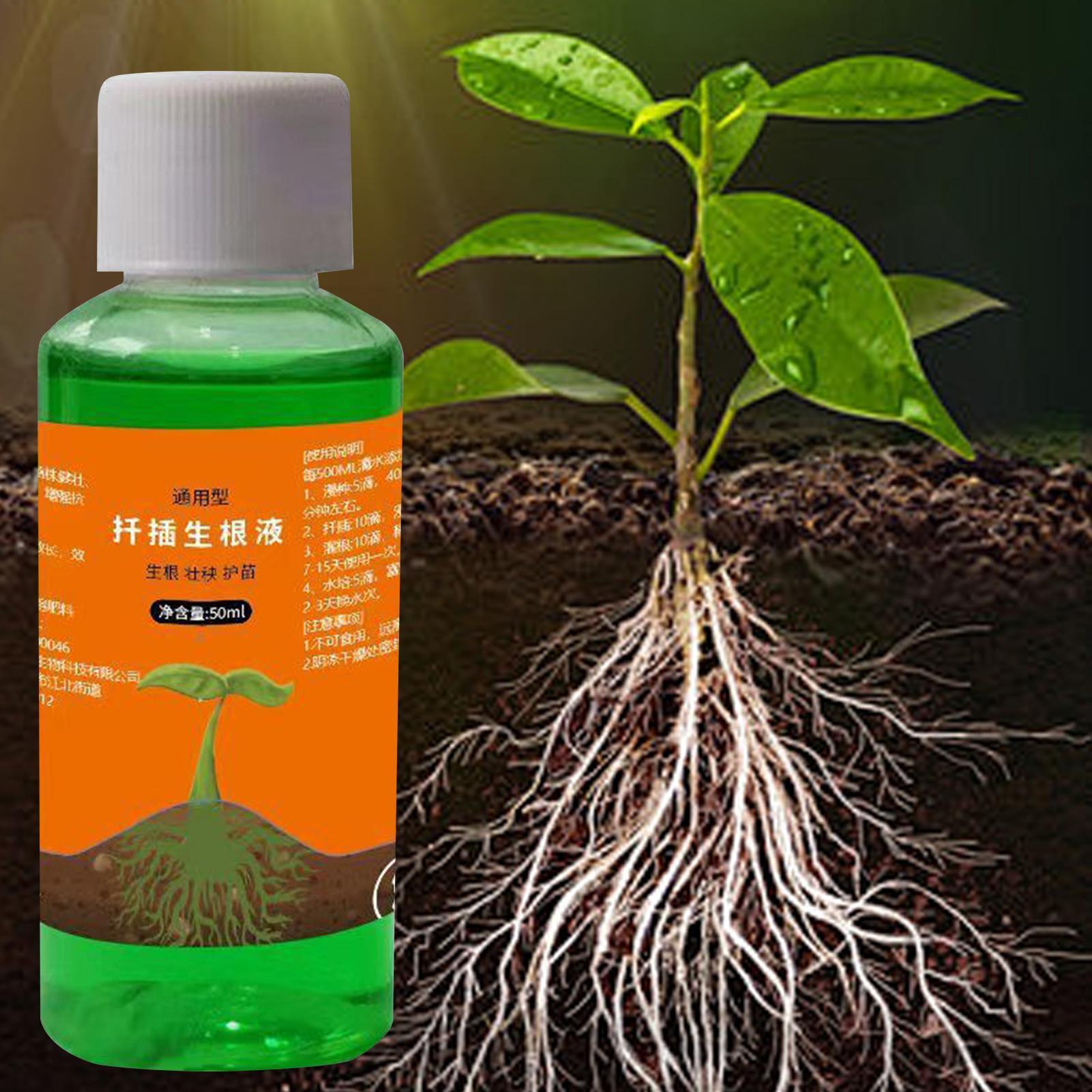Bitki Kesimleri için Yüksek Ve - Root Stimulator Liquid incelemesi ve fiyatı