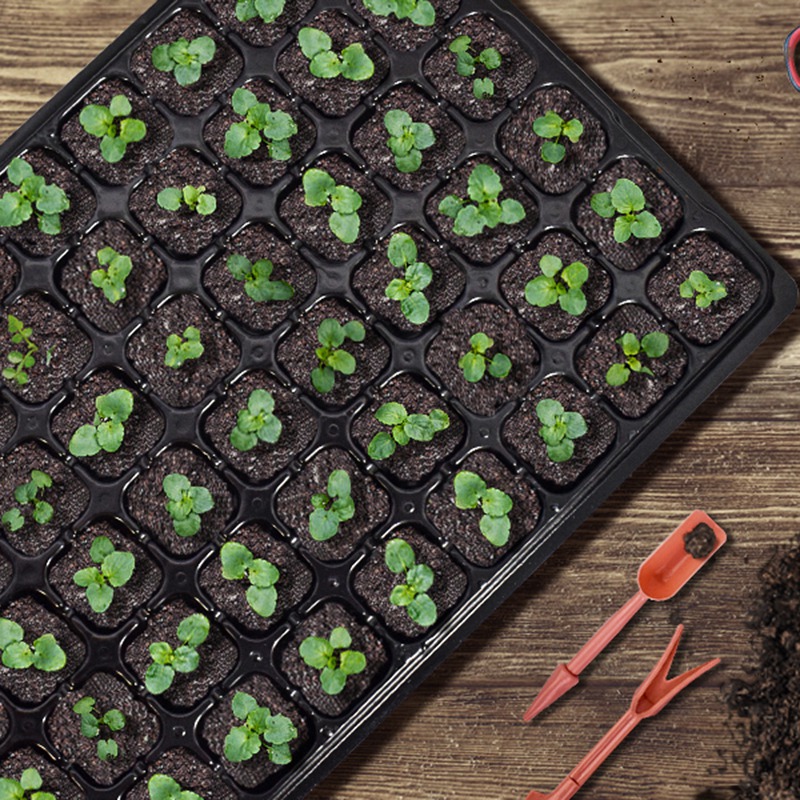 ABGH-10 Paket Tohum Başlangıç  - Propagation Tray 72 incelemesi ve fiyatı