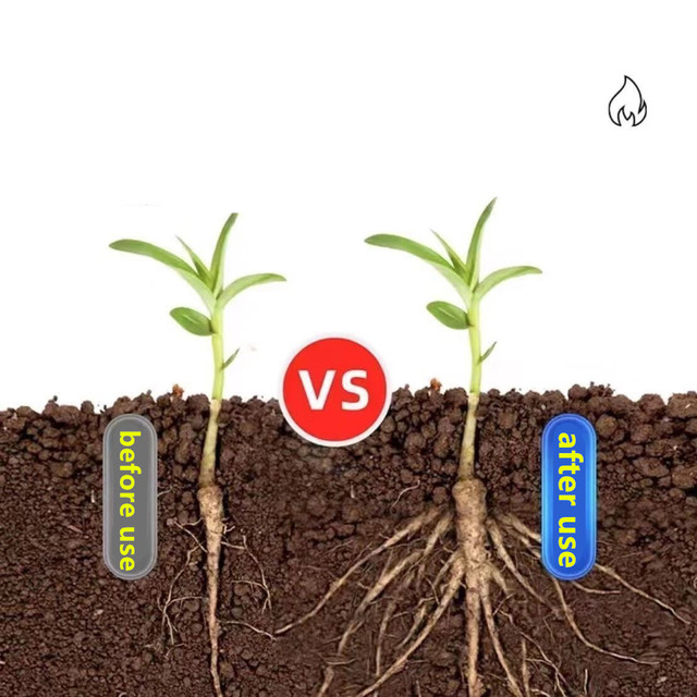 Bitkiler Çiçekler Bonsai Etli  - Rooting Hormone Powder incelemesi ve fiyatı