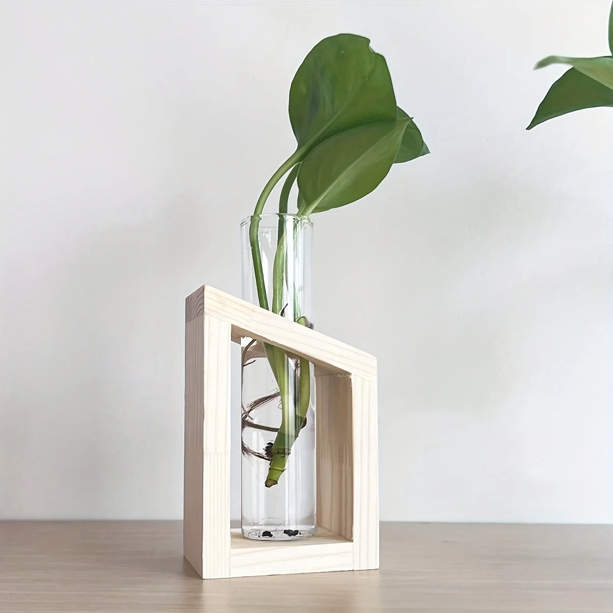 Test Tüpü Cam Vazo Bitki Çoğal - Propagation Station Vase incelemesi ve fiyatı