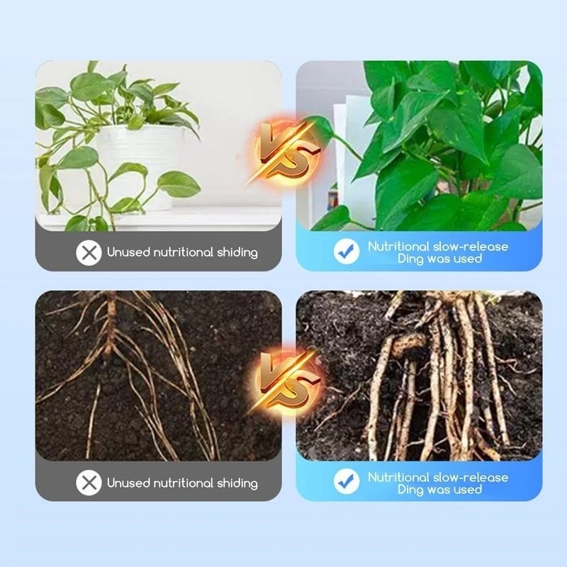 500g Yüksek Mukavemetli Köklen - Rooting Hormone Powder incelemesi ve fiyatı