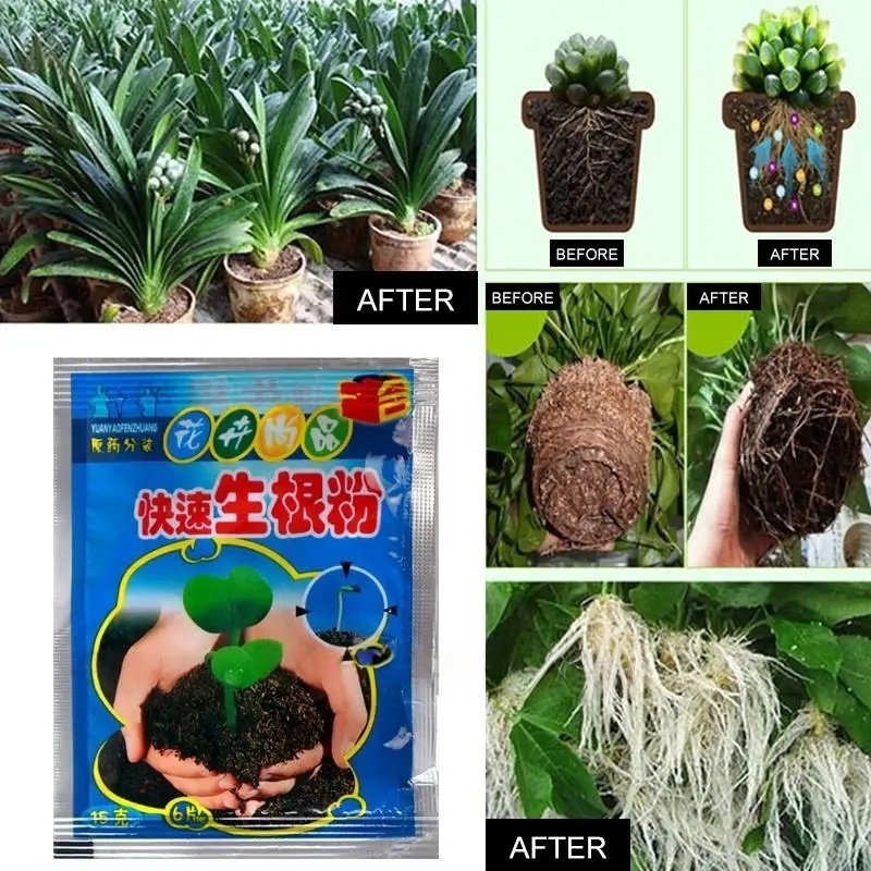 5 adet hızlı köklendirme tozu  - Rooting Hormone Powder incelemesi ve fiyatı