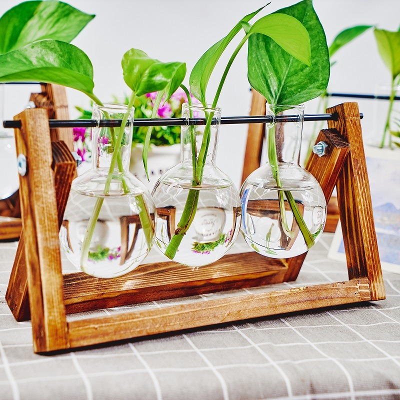 Masa üstü cam ekici yayılım is - Propagation Station Vase incelemesi ve fiyatı