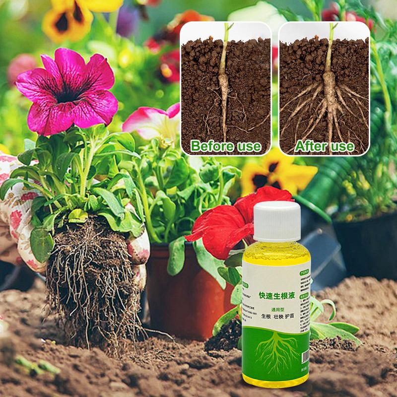 Bitkiler için Kök Güçlendirici - Root Stimulator Liquid incelemesi ve fiyatı
